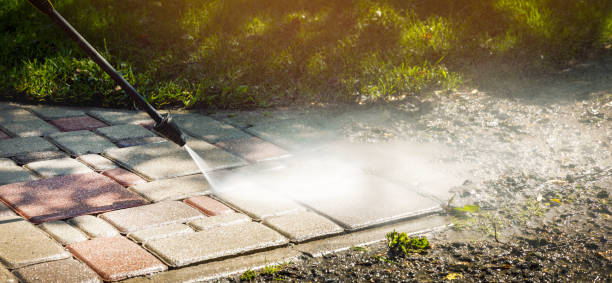 Best Fence Cleaning  in Flower Hill, NY
